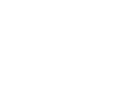 Security Fest
